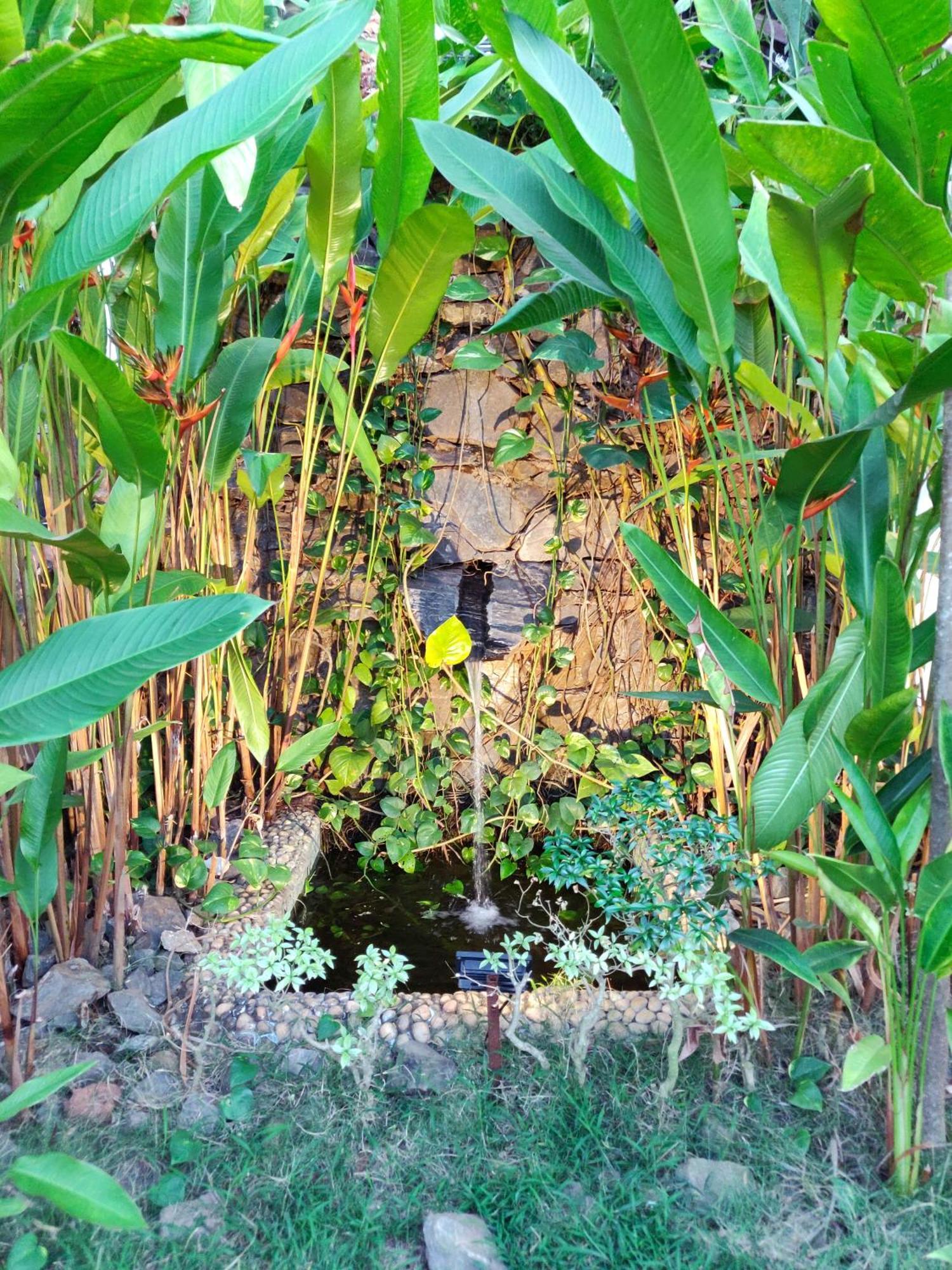 Rock Forest Goa Honeymoon Cottages Calangute Exterior photo